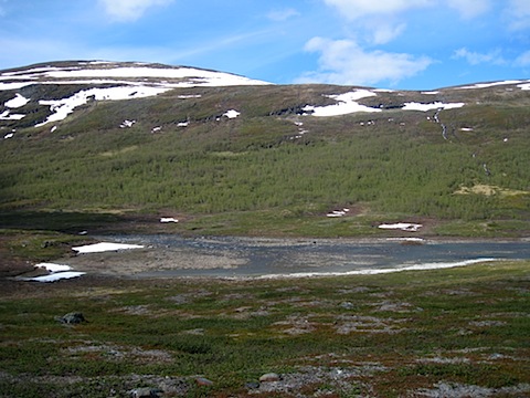 Abisko Juni 2009 dag 4 - 38.jpg